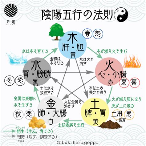 陽金 五行|陰陽五行